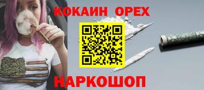 apvp Аша