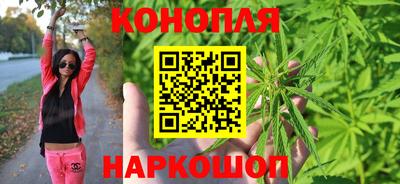 a pvp Ачхой-Мартан
