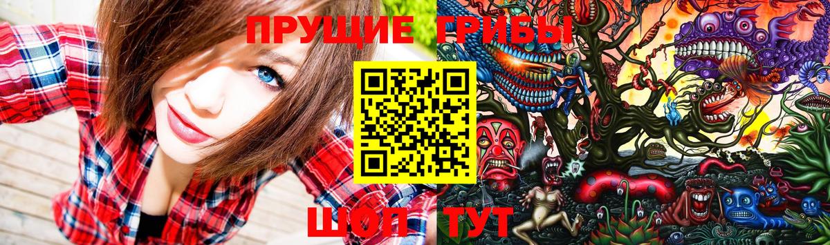 Псилоцибиновые грибы ЛСД  Вход с VPN  где продают   Клинцы 